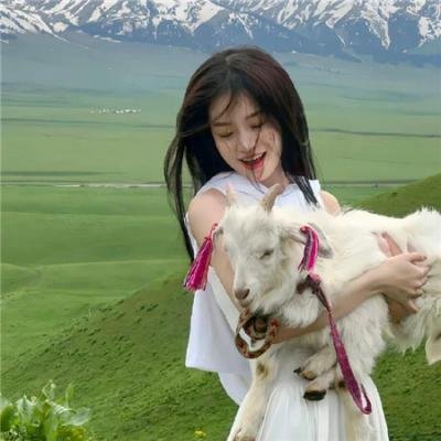 情深不寿终白头